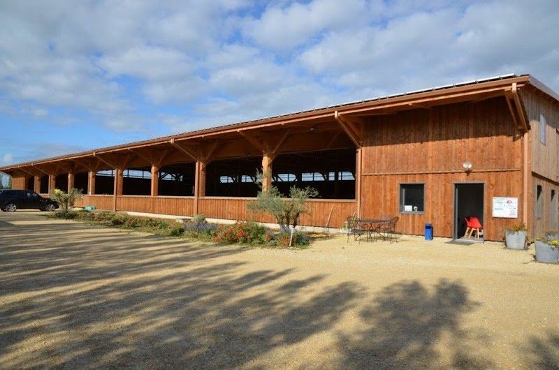 Les Écuries Pierrelles - RACAMIER Chloé - photo 2