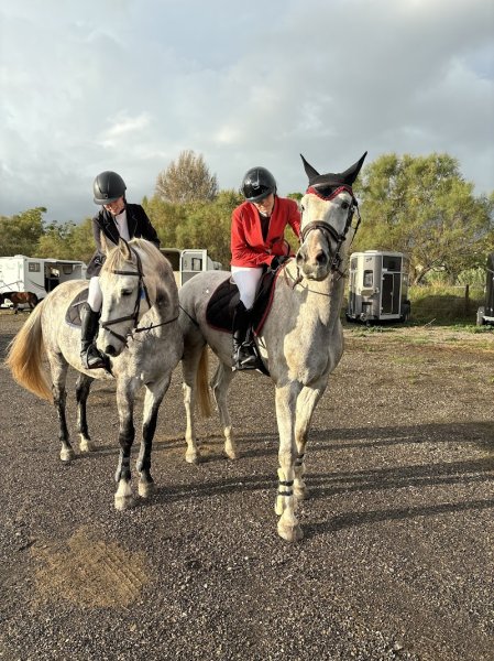 Les Écuries Pierrelles - RACAMIER Chloé - photo 3