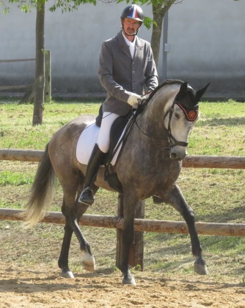 Ecurie Korrigan Stéphane Le Gall - photo 1