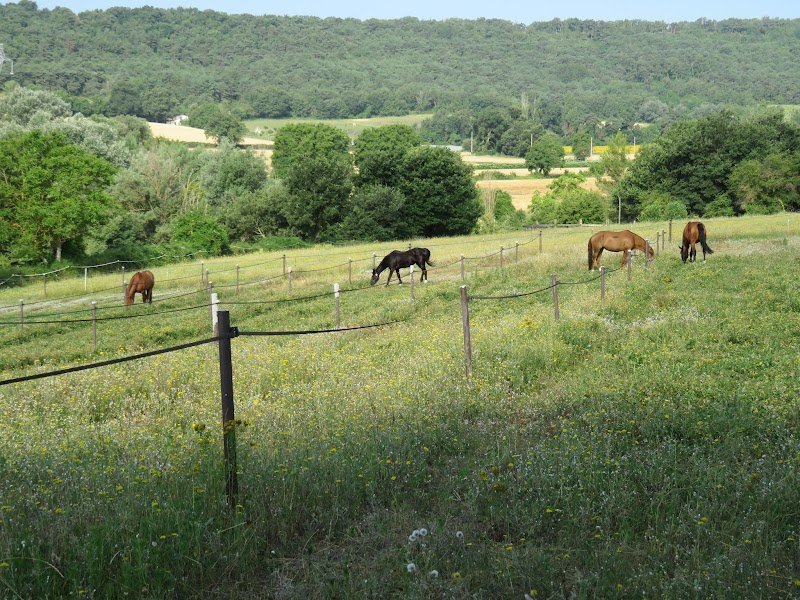 Ecurie Korrigan Stéphane Le Gall - photo 3