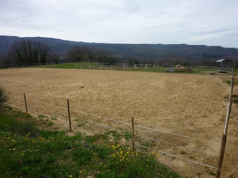 Centre Equestre Les Laurons - photo 2