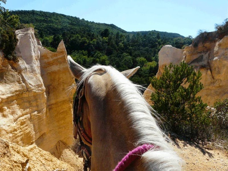 Centre Equestre Les Laurons - photo 3