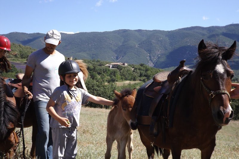 Ferme équestre en Luberon - photo 2