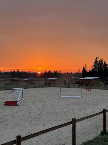 Ecuries du Levant - photo 3