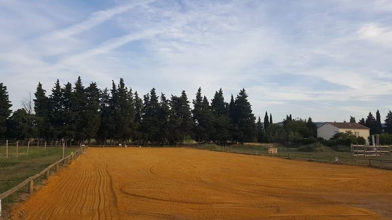 Écurie Pajale - photo 3