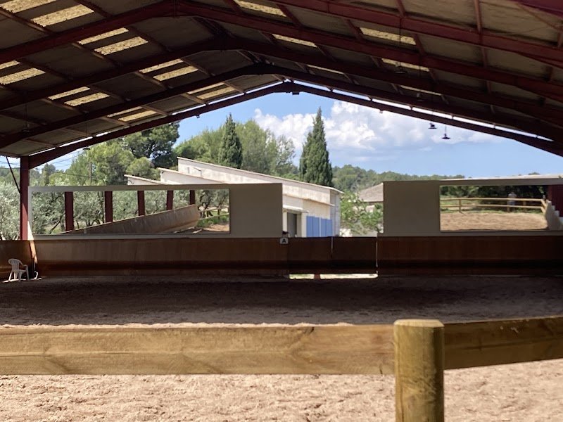 Écurie Maestoso - photo 2