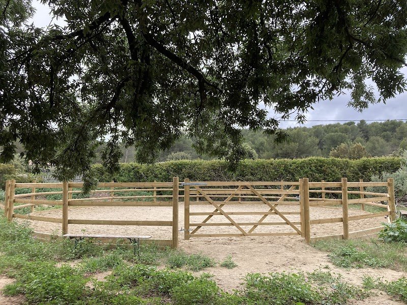 Écurie Maestoso - photo 3