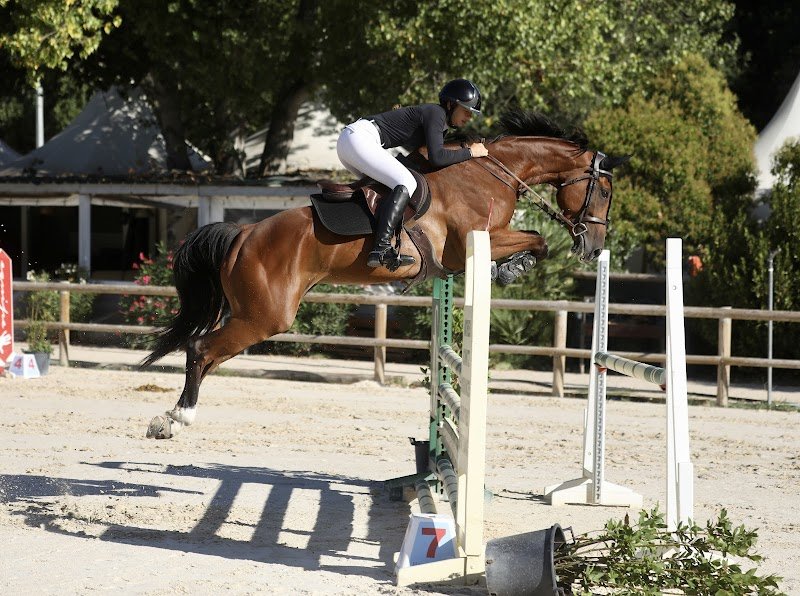 Le Haras Des Cadettes - photo 2