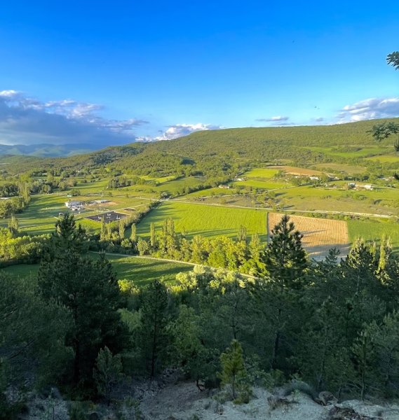 Le Haras Des Cadettes - photo 3