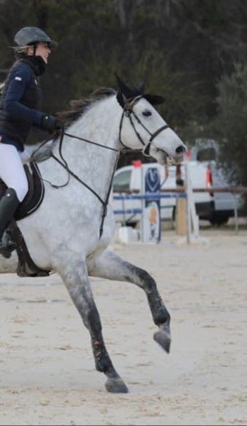 Ecurie de Saint Canadet - photo 1