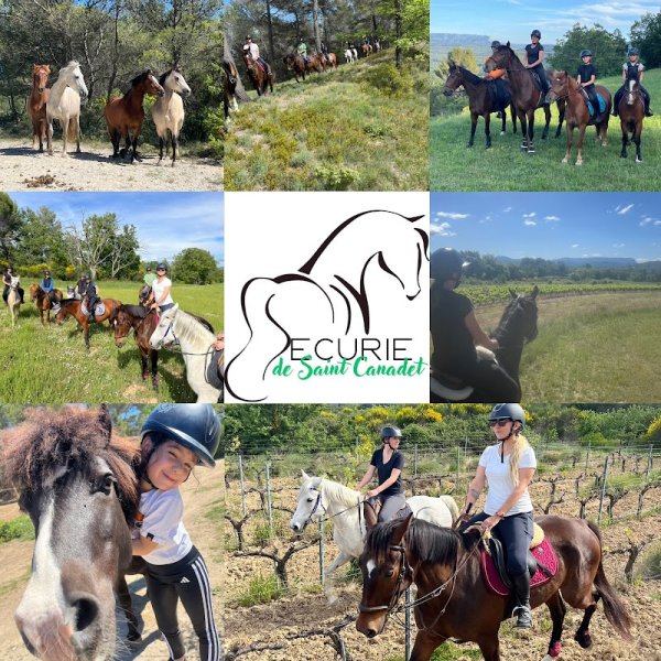 Ecurie de Saint Canadet - photo 2
