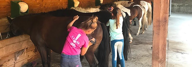 Centre équestre le Buisson - photo 1