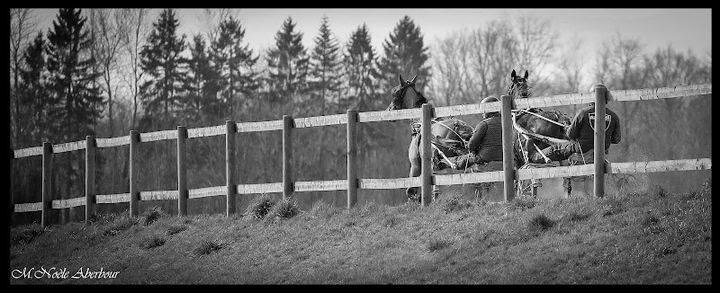 Ecurie Alexandre Buisson - photo 1