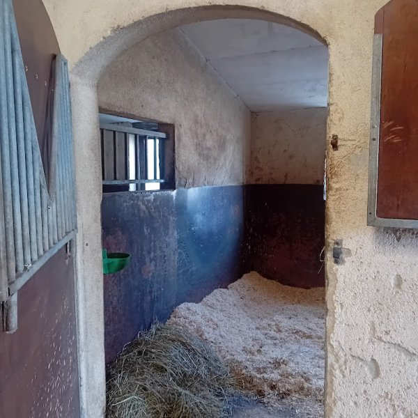 Ecurie de transit, Ecuries Des Barrys - photo 2