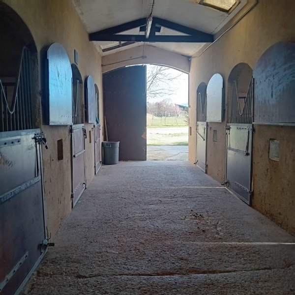 Ecurie de transit, Ecuries Des Barrys - photo 3