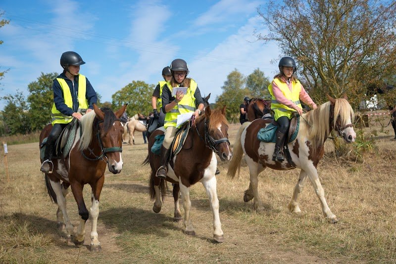 AUREL'HORSE - photo 3