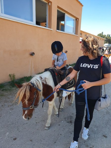 Écurie du Faraon - photo 2