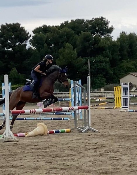 Écurie du Faraon - photo 3