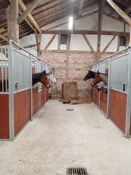 ECURIE DES PLATIERES - photo 3