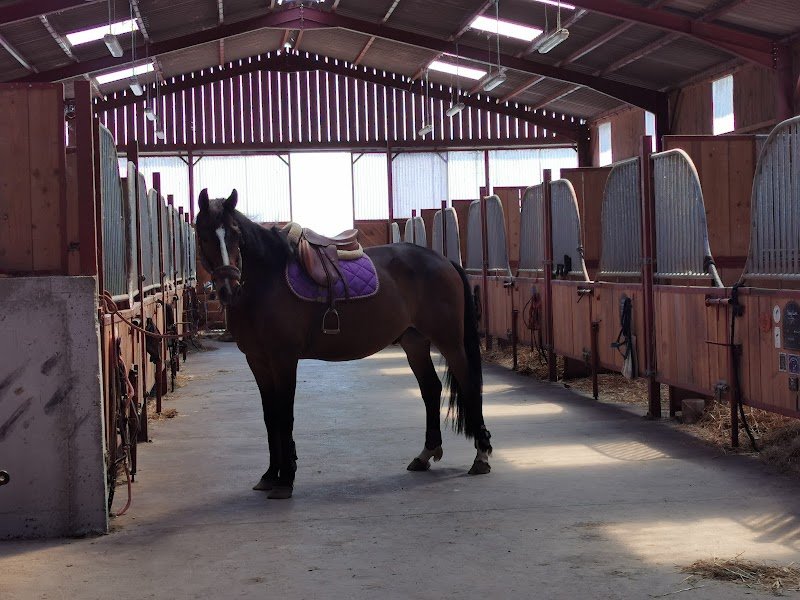 Ecurie E. DUBOIS - photo 2