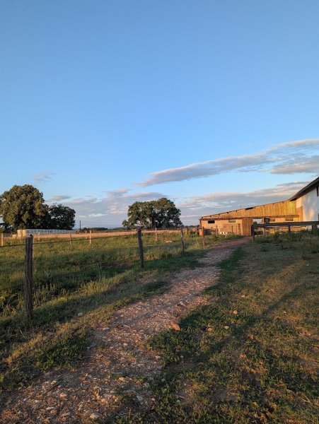 Écurie St Georges en Bresse - photo 3