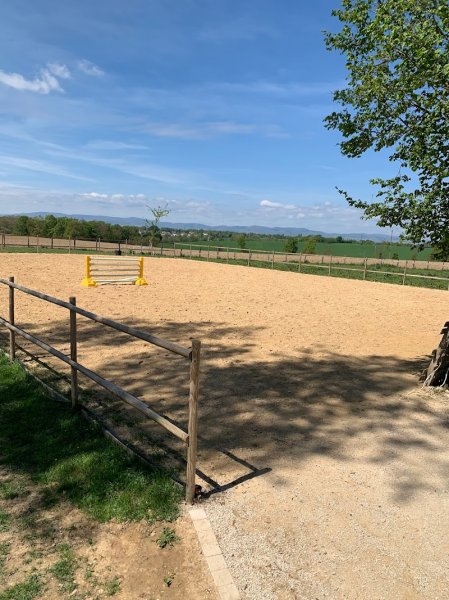 Pattes, sabots & Co - Pension pour chevaux, Shiatsu équin, naturopathie animale