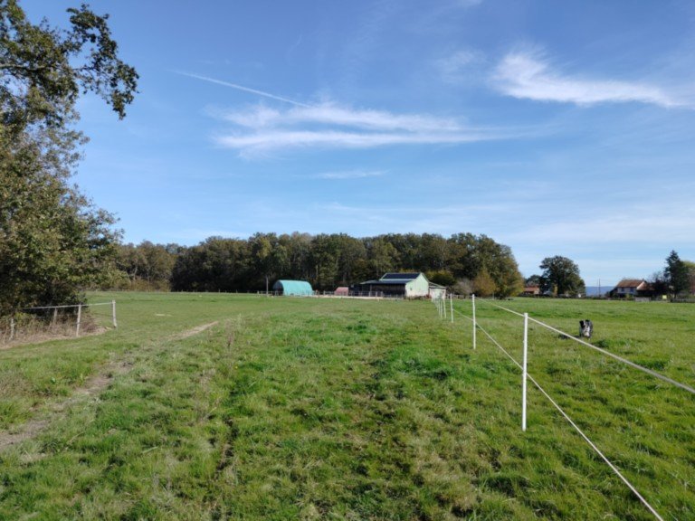 EIRL F. JANAUDY - Écurie des Capettes - photo 2