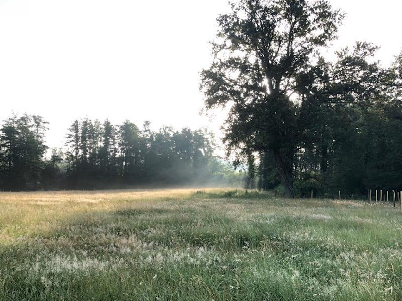 Écurie - Le Jardin des Chevaux - photo 1