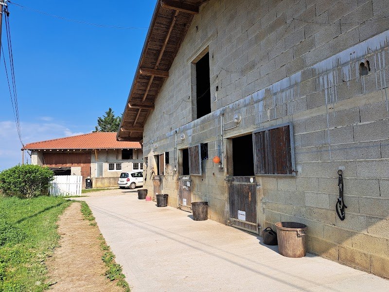 Espace Cheval - photo 1