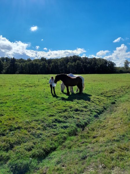 Ecurie des Etangs - photo 1