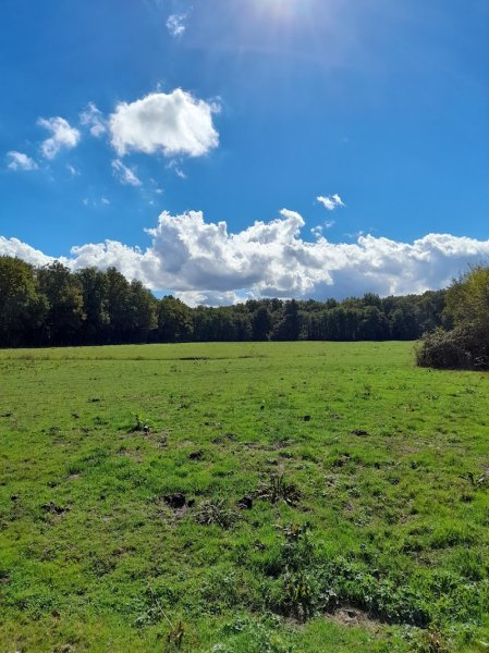 Ecurie des Etangs - photo 3