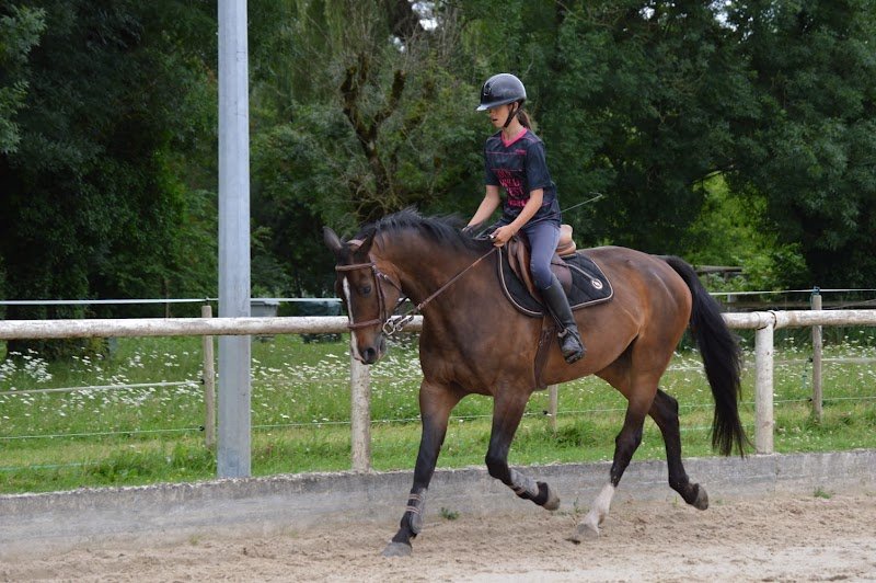 ECURIE GRIFFOND - photo 1