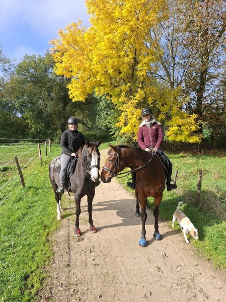 ECURIE GRIFFOND - photo 2