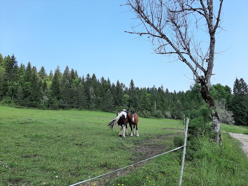 Ecuries de Jade - photo 2