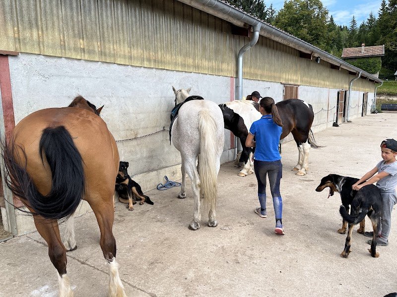 Ecuries de Jade - photo 3