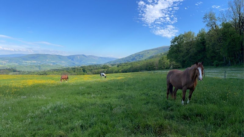Ferme Equestre Les Chênes