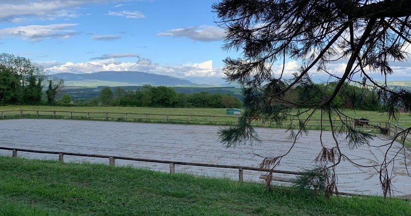 Ferme Equestre Les Chênes - photo 2
