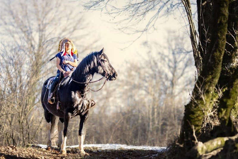 RANCH FREEDOM'S HORSES - photo 2