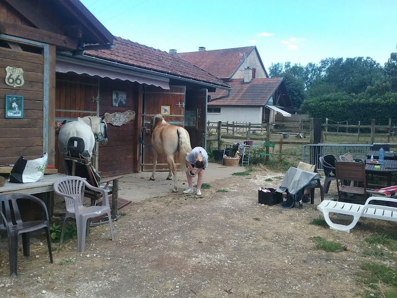 RANCH FREEDOM'S HORSES - photo 3
