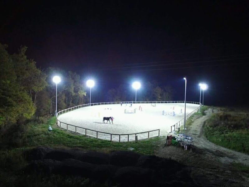 Equitannaz Ecurie de propriétaires - photo 3