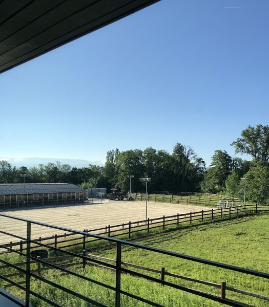 Écurie du Bachet - photo 1