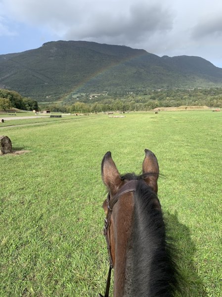 Les Ecuries de Vulbens - photo 2
