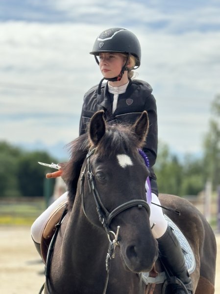 les écuries de massoran - photo 2