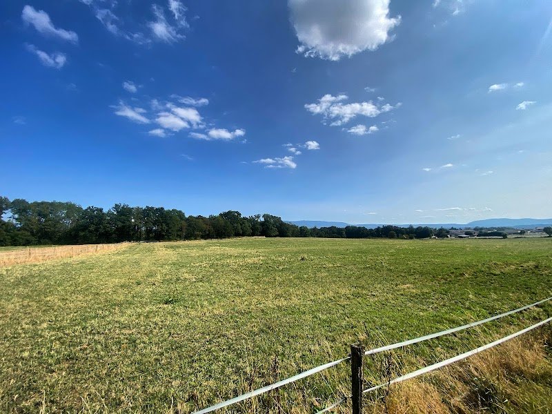 les écuries de massoran - photo 3