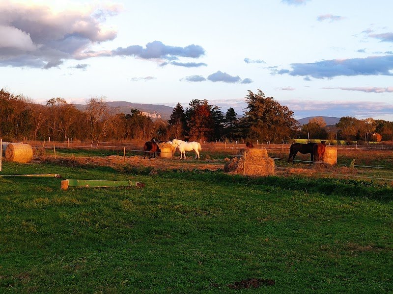 Écurie de la Vignotte