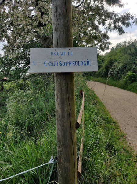 Écurie de la Vignotte - photo 3