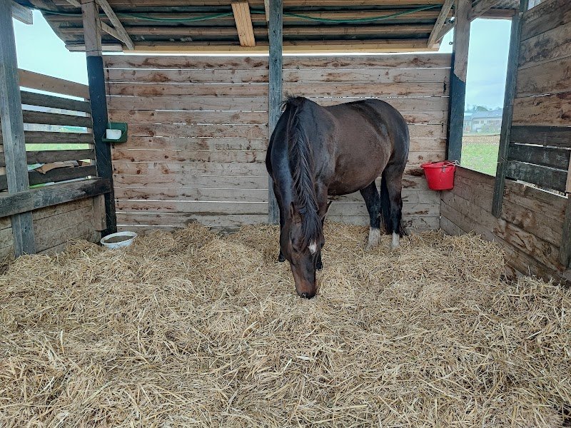 Les ecuries du lac - photo 1