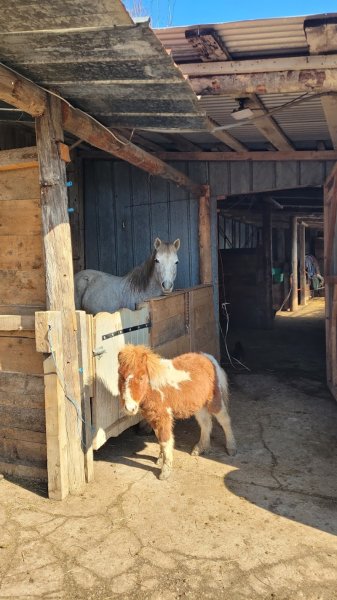 Les ecuries aux fay - photo 2