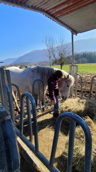 Les ecuries aux fay - photo 3