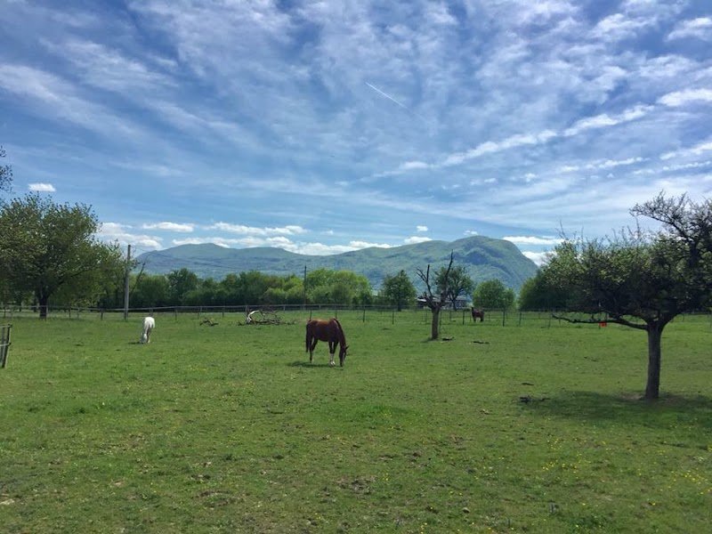 Ecuries Castelroc - photo 2